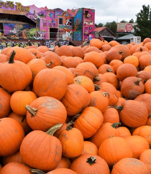 Festival_Fall_Great_Pocono_Pumpkin_Country_Junction_2_PoconoMtns_7d852d5e-559e-410c-a7ec-49cd6fae9b670_ca3ea140-e596-ca90-c90fa3ebea321c92